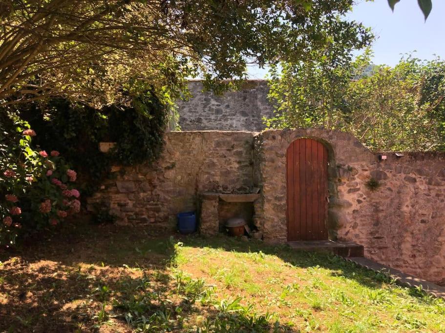 Joli Appartement Avec Terrasse Et Jardin - Vue Sur Montagne Bagnères-de-Bigorre Eksteriør billede