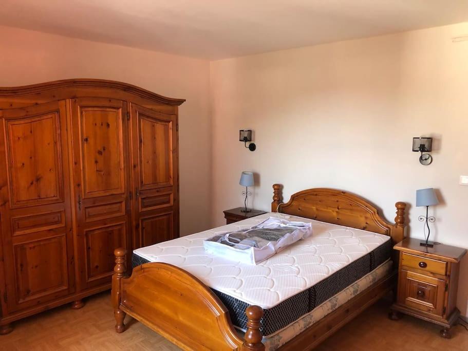 Joli Appartement Avec Terrasse Et Jardin - Vue Sur Montagne Bagnères-de-Bigorre Eksteriør billede